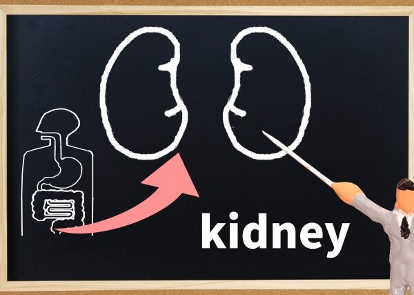 慢性腎不全にお悩みの方へ｜症状から原因や改善方法まで詳しく解説