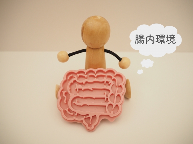 腸から自律神経が乱れる!? ヨーグルトだけでは足りない腸内ケア