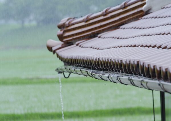 秋の嵐がもたらす体調不良を予防する“呼吸”と“姿勢”の整え方