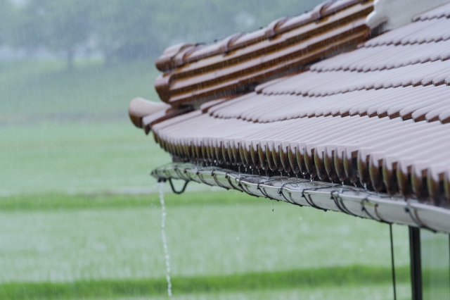 秋の嵐がもたらす体調不良を予防する“呼吸”と“姿勢”の整え方