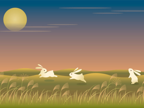 整体で整える“眠れる体”―秋の夜長に快眠を手に入れる方法