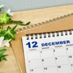 12月症例まとめ：この月は「整える」より「預かる」判断が多かった