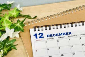 12月症例まとめ:この月は「整える」より「預かる」判断が多かった