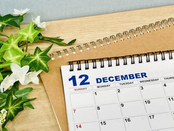 12月症例まとめ：この月は「整える」より「預かる」判断が多かった