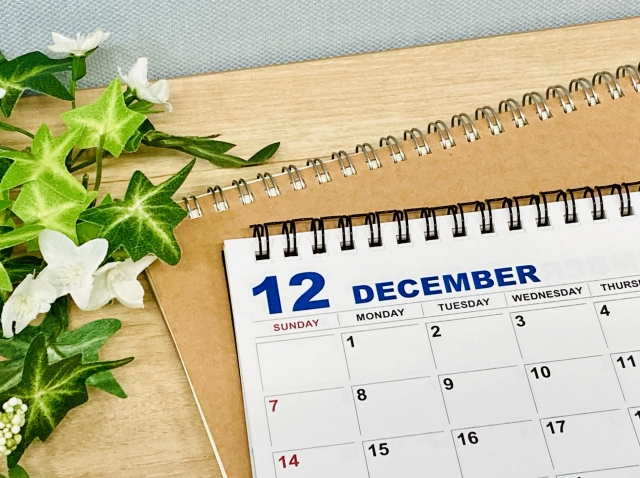 12月症例まとめ：この月は「整える」より「預かる」判断が多かった