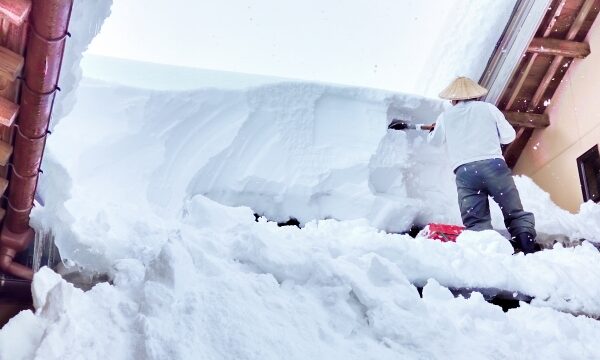 冬の運動不足が腰痛に？春前にやるべき腰の調整法