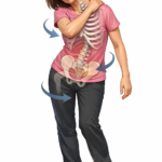 左肩が痛いのに、原因はそこじゃなかった話｜五十肩の本当の正体